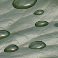 In the rain